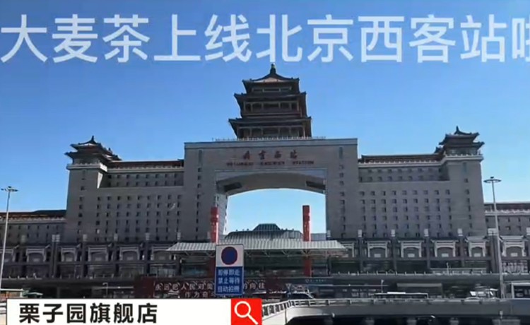 北京西客站视频